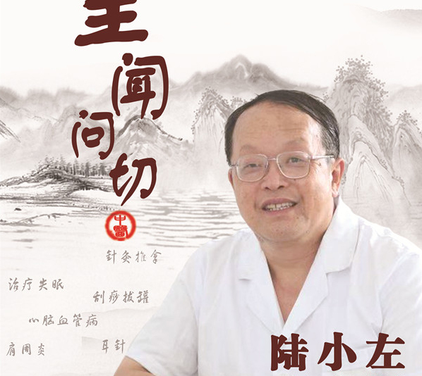 陆小左
